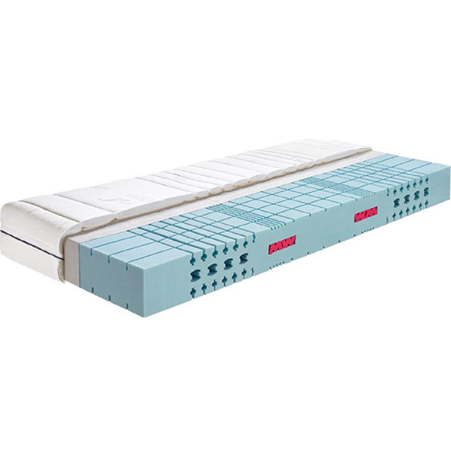 Werkmeister - MS 55 Plus